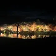 ばろんの画像
