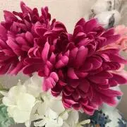 佐藤の画像