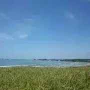 みもざの画像