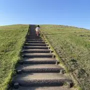 ＳＡＯ