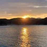 トマトの画像