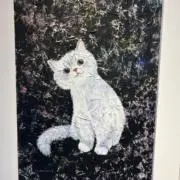 ひろにゃんの画像