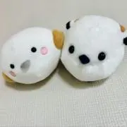 Miーママ⭐︎フォロー割始めました☺️の画像