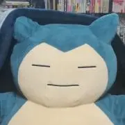ヤンヤンの画像