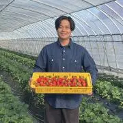 堀江ストロベリーファーム（減農薬）の画像