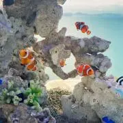 inoの画像