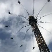 wasabiの画像
