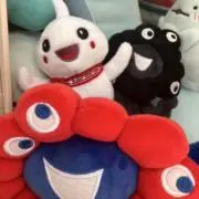 Tamaの画像