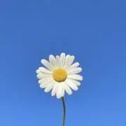 まるの画像