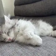 まり