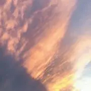 ゆなの画像
