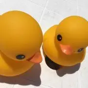 もさ