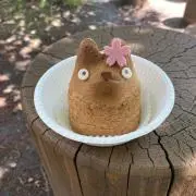 あやちゃんの画像