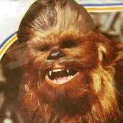 Image of Chewie