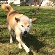 みも