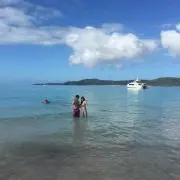 Bp1