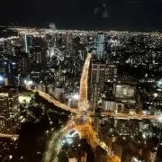 はなの画像
