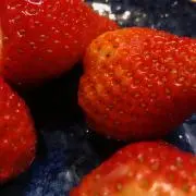 くまの画像
