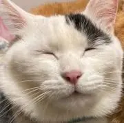 ゆた《 断捨離中!!プロフご覧ください》の画像