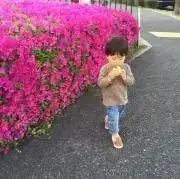 おかっこ