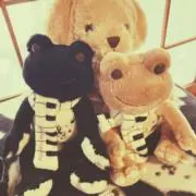 PTの画像