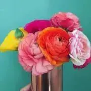 ennの画像