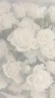 む (お値下げ交渉お受け致します。)の画像