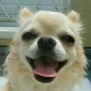 もぐりんの画像