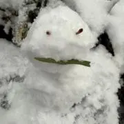 ざうるすの画像