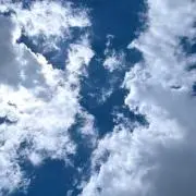 喜楽