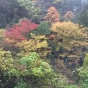 GYPSYの画像