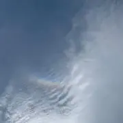 アーノルドの画像