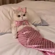 そら
