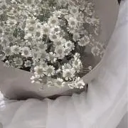 めの画像