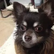 かずっぺの画像