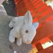 まの画像