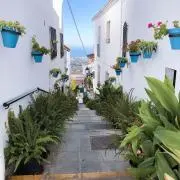 risaの画像