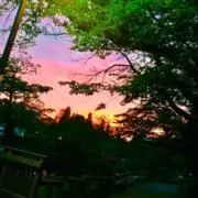 RIRIの画像