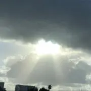 しの画像