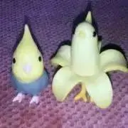 えりまま♪プロフ一読下さい♪