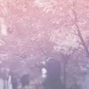 ピーチの画像