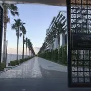 noruの画像