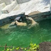 aaak1111の画像