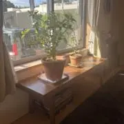 みぽ