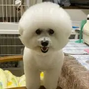 kazuo1548の画像