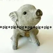 プロフ必読*pig*pig*pig*の画像