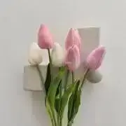 チョコの画像