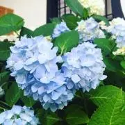 dksr⭐︎の画像