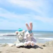 ひとみにぃの画像