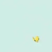 すずの画像